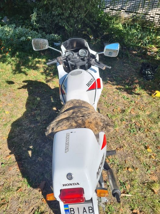 Мопед Honda NS 50F.ОБМЕН на большую кубатуру