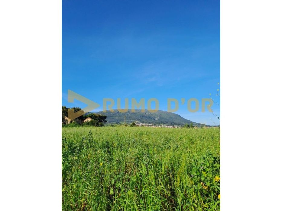 Terreno Rústico em Penedos de Alenquer