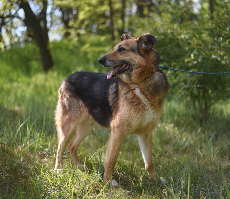 Sylwek czeka na wystrzałowego opiekuna