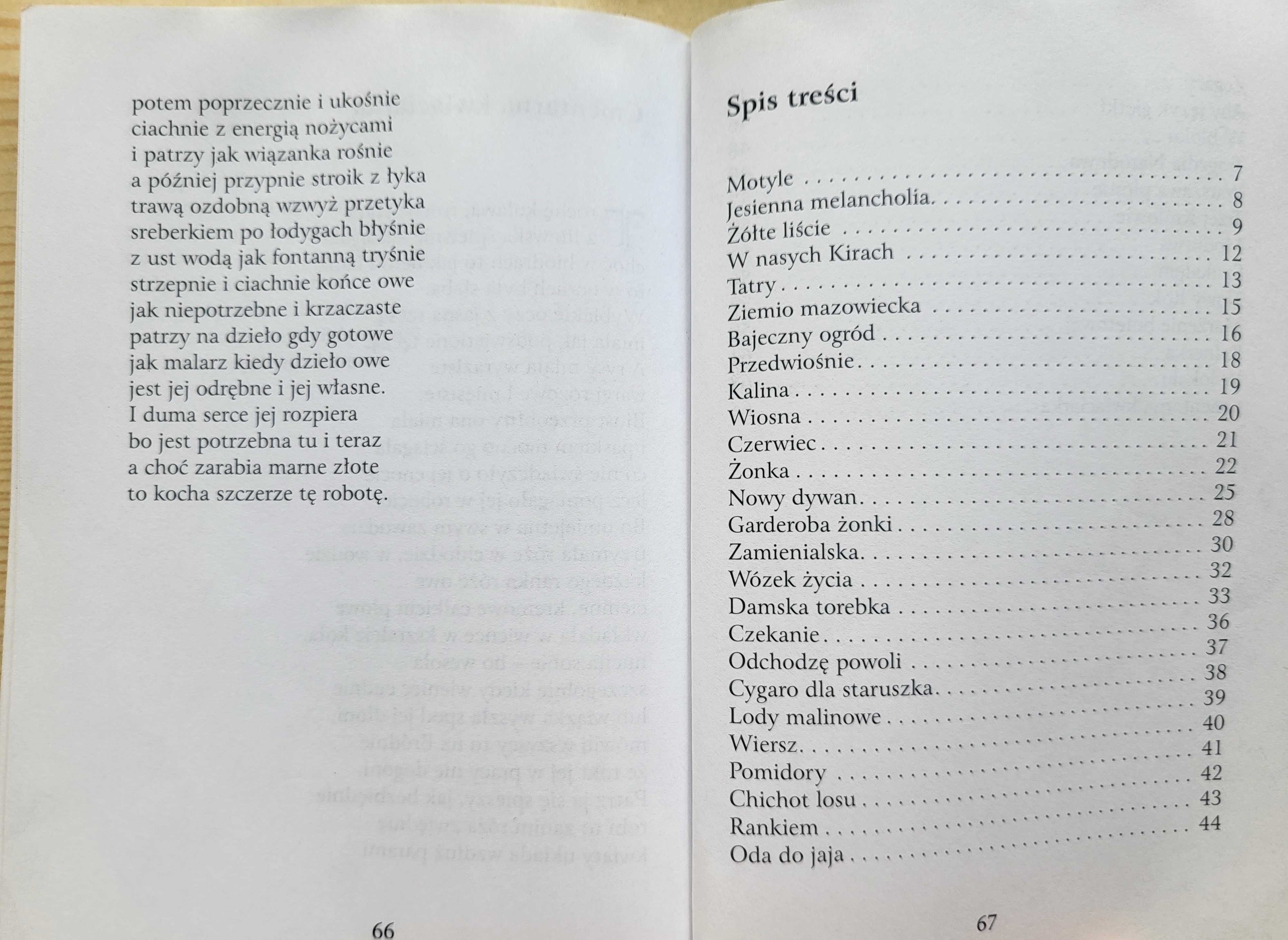 Dariusz Jaworek "Motyle" - stan B. DOBRY -UNIKAT wydawniczy- B. TANIO!