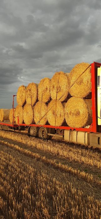 Słoma pszenna jęczmienna w dużych kostkach Kulka # transport