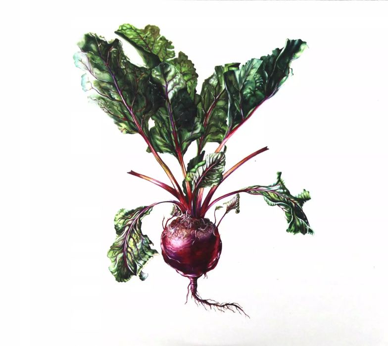 Czesław Śpiewa & Arte dei Suonatori, CD. Mystic Production