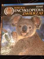 Ssaki wielka encyklopedia zwierząt