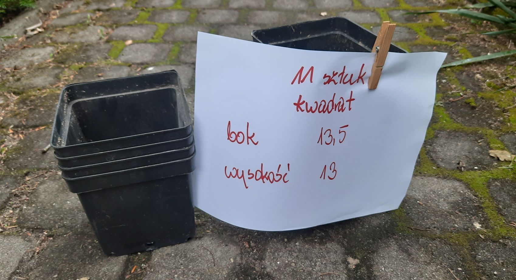 Doniczki produkcyjne oddam za 1 zł