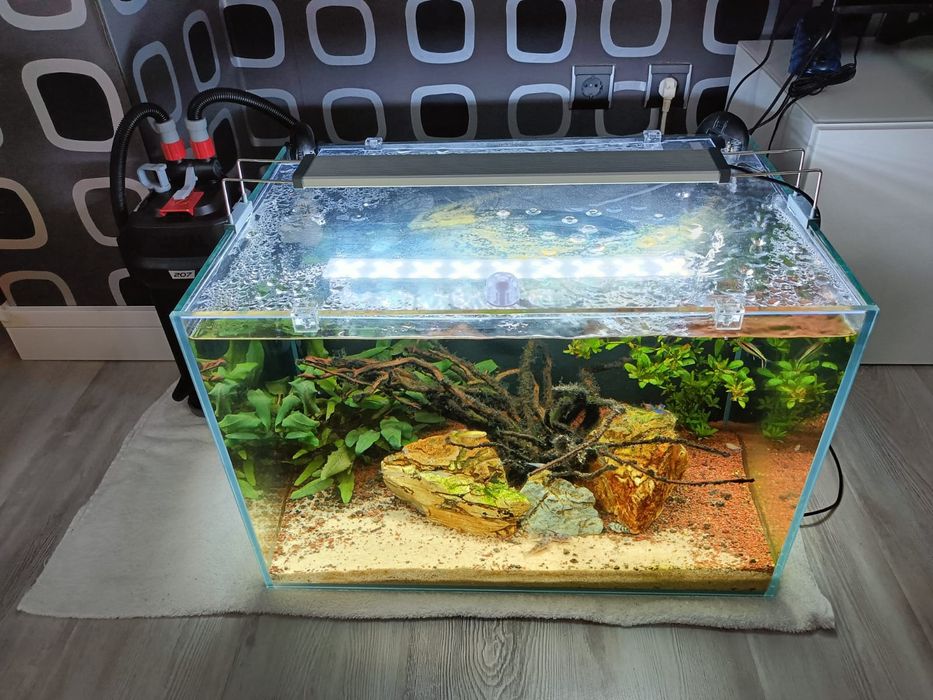 Aquário Extra Claro 100L + Fluval 207