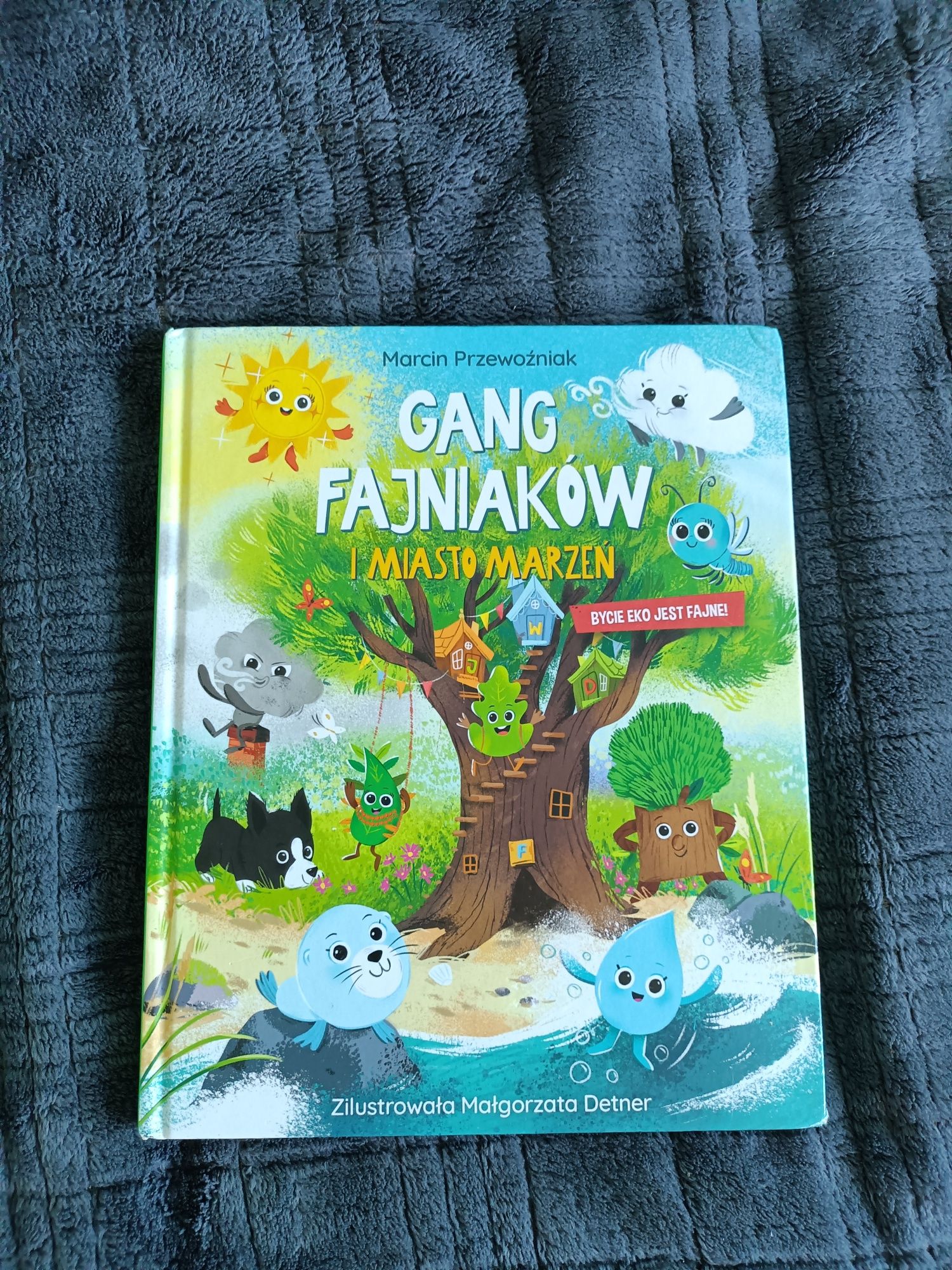 Książka dla dzieci Gang fajniaków i miasto marzeń