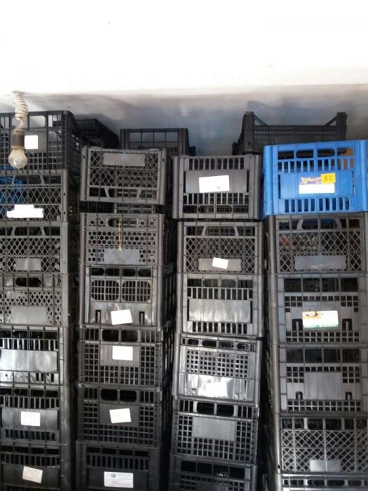 Ящики 200шт.,бананові ящики