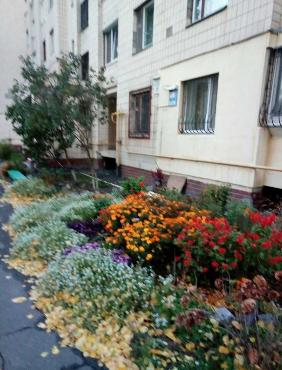 Оренда 1 квартири на Матикіна 18, Голосіївський район