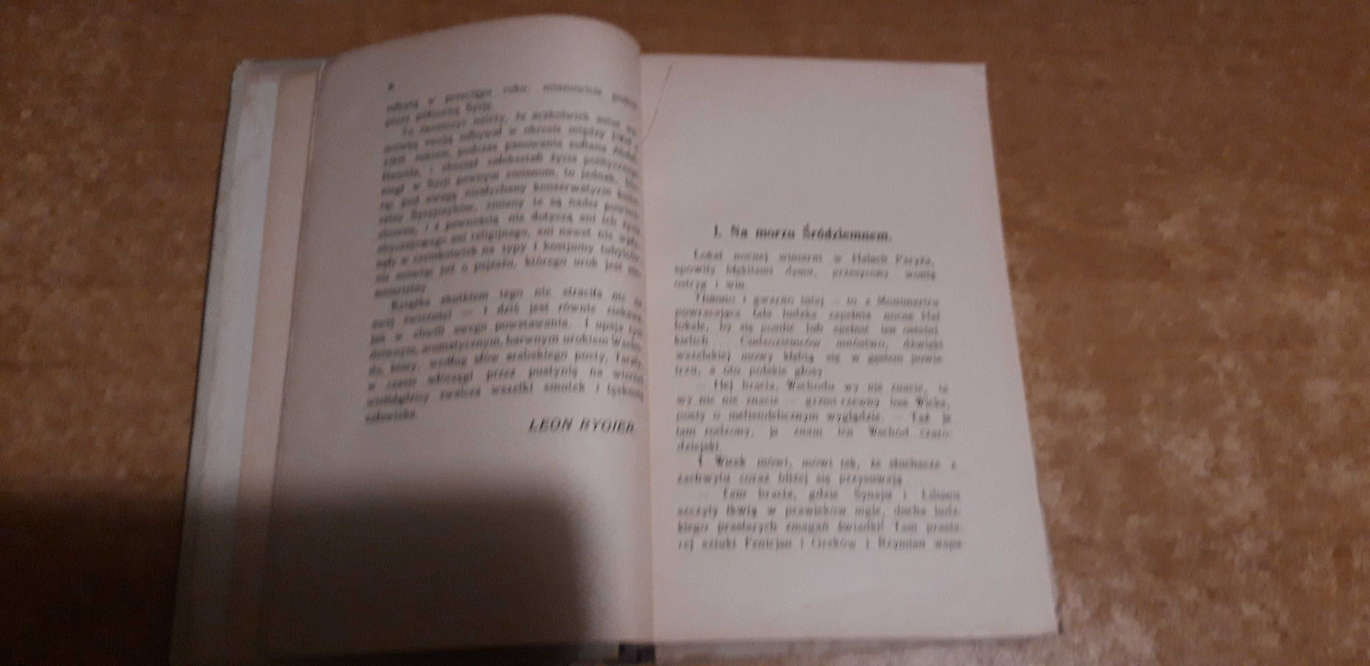 Wśród  gór  i  pustyń Coelesyrji- A. Grabowski- 1925, il., opr.