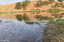 Herdade em Alentejo Beja Portugal