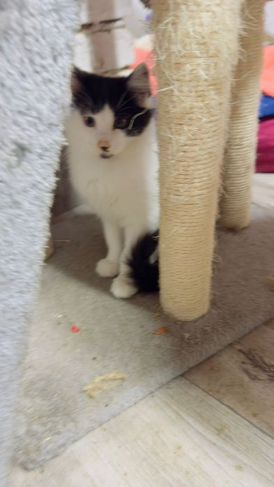 Хлопчик шукає дім