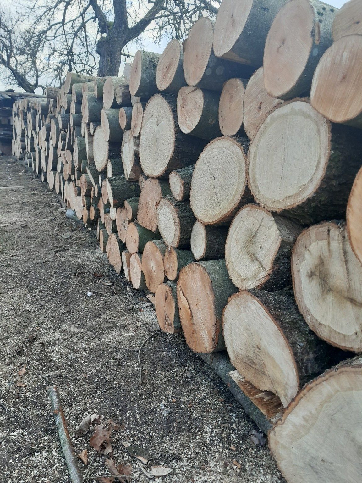 Sprzedam drewno opałowe