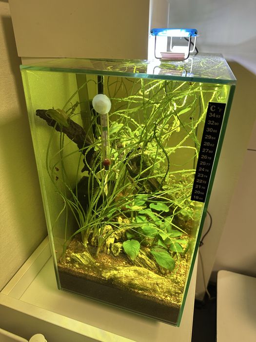 Аквариум HAGEN Fluval EDGE 46 л, рыбки , креветки, растения