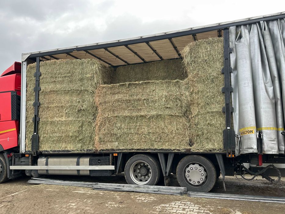 Siano Słoma i Sianokiszonka >LUCERNA< TRANSPORT  cała Polska