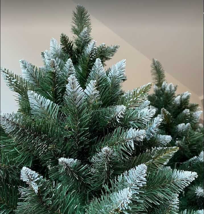 Gęsta CHOINKA NA PNIU 160cm oszroniona SOSNA DIAMENTOWA + gratis