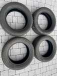 Opony zimowe Dębica 215/55 R16