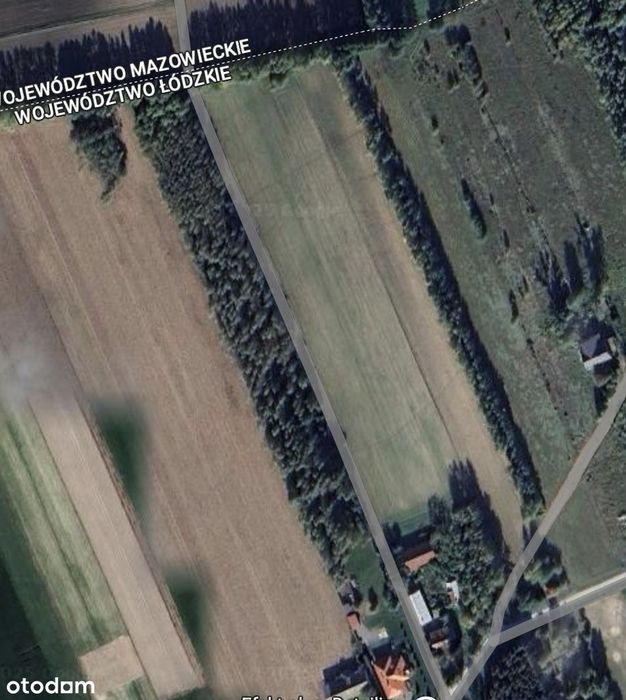 Działka, Nowe Kęszyce