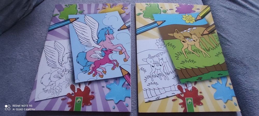 Kolorowanki 2 sztuki nowe