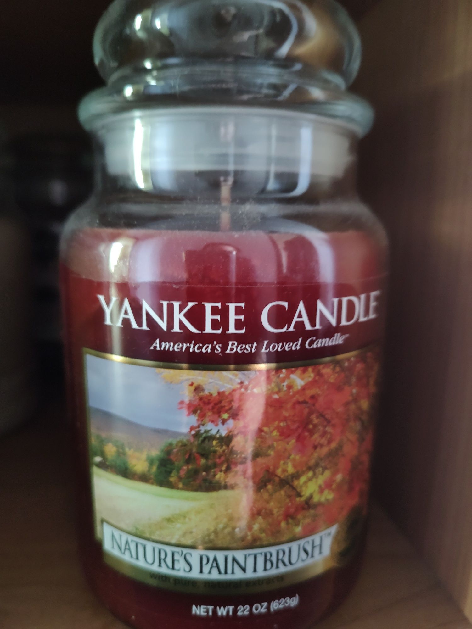 Yankee candle nature's paintbrush unikat