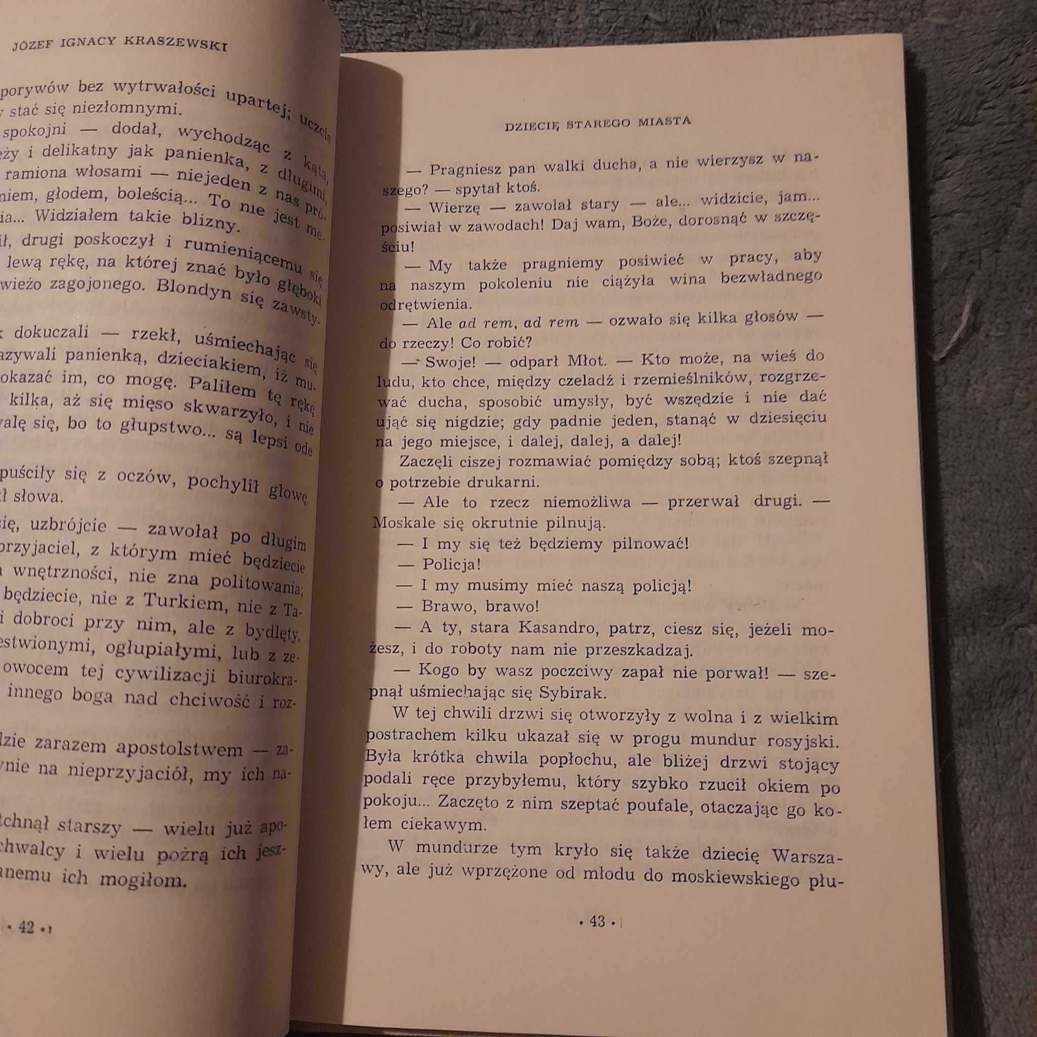 Dziecię starego miasta - Józef Ignacy Kraszewski