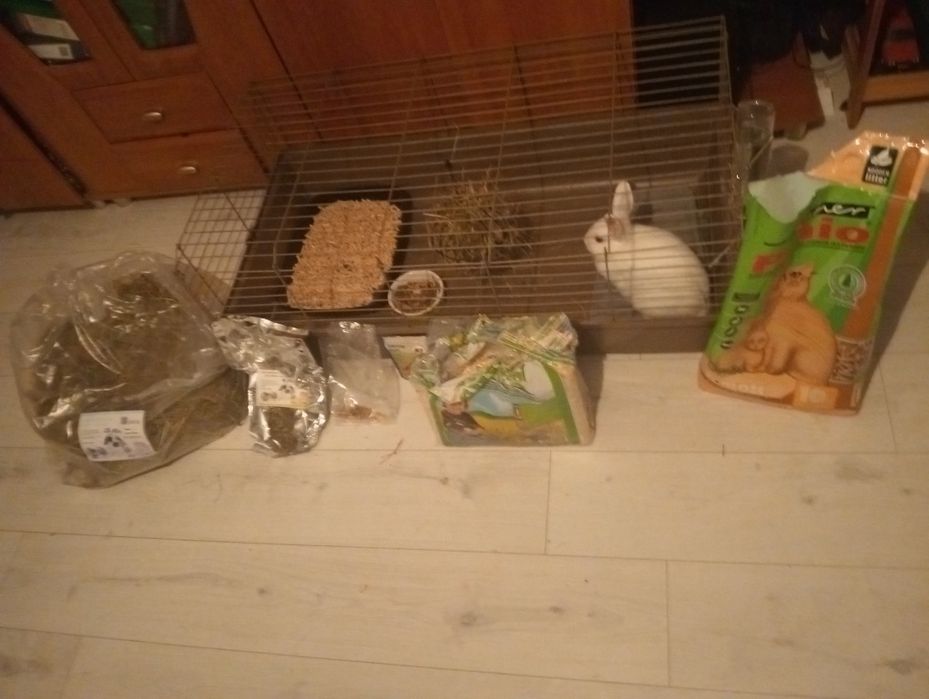 Dzień dobry jest krótki do przedania jest jedzenie ziano maszki i inne