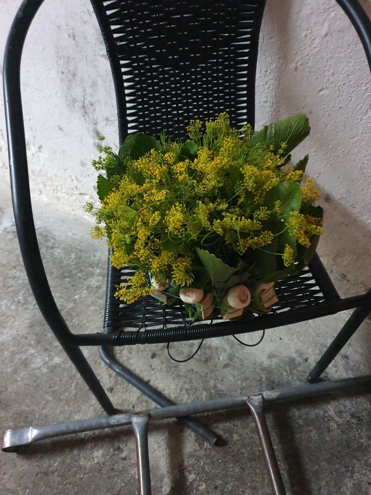 Zestaw do kiszenia