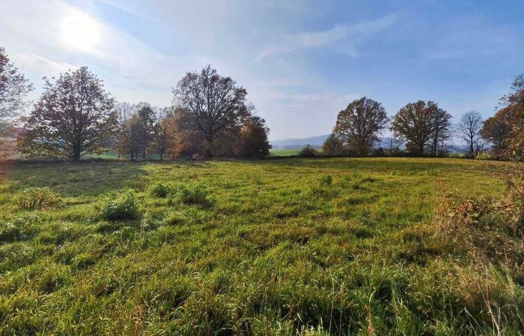 Działka | Sprzedaż | Górczyca