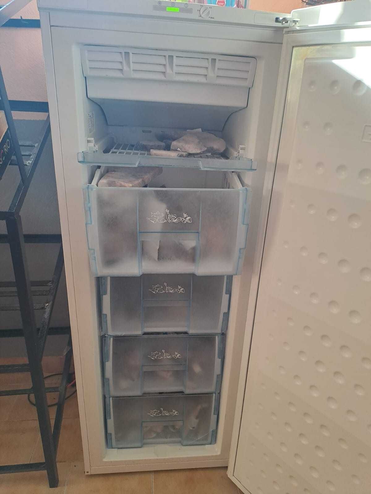 Arca Vertical Beko
