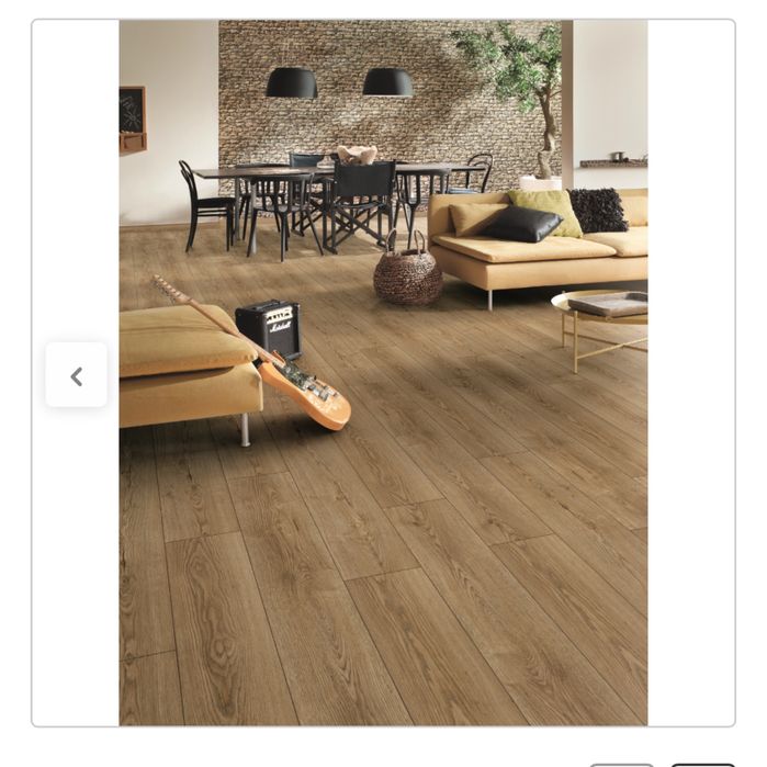 Dąb Kanada Weninger 2,8m