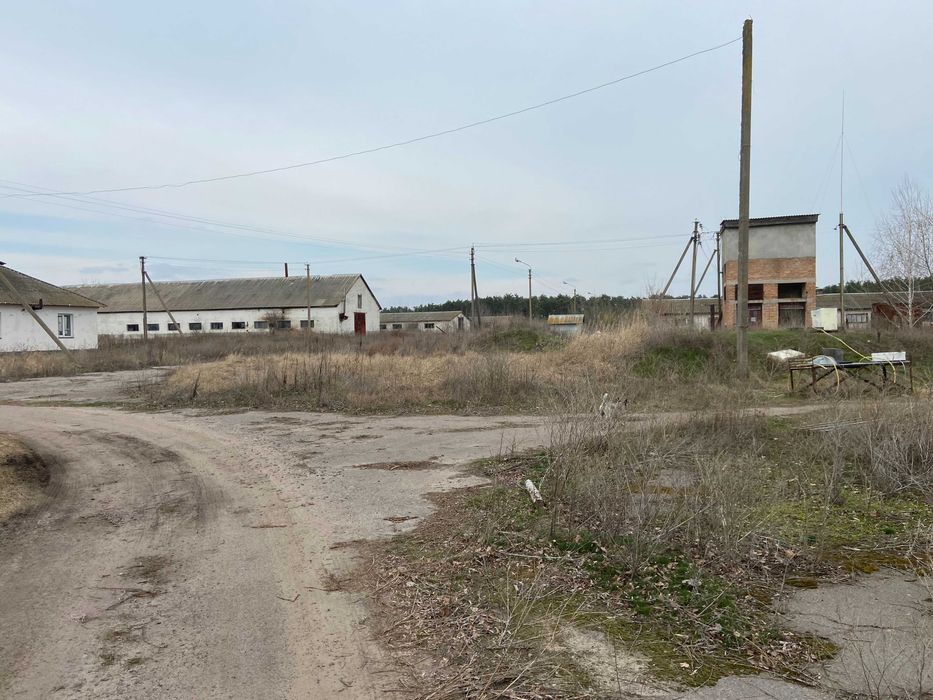 Продаж нежитлових приміщень (ферма) 10589,9м², 9,7592га, Черкаська обл
