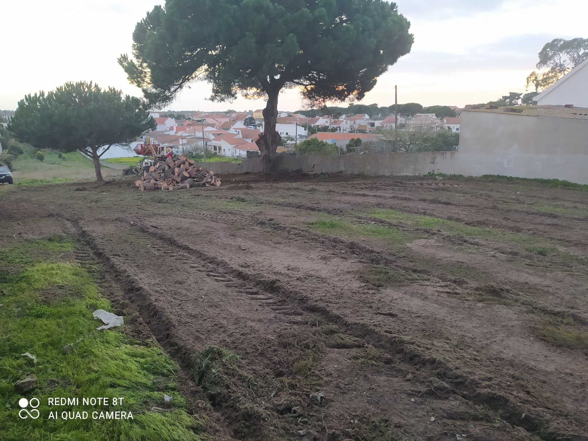 Limpeza de terrenos e matas florestais e agrícolas e poda de árvores