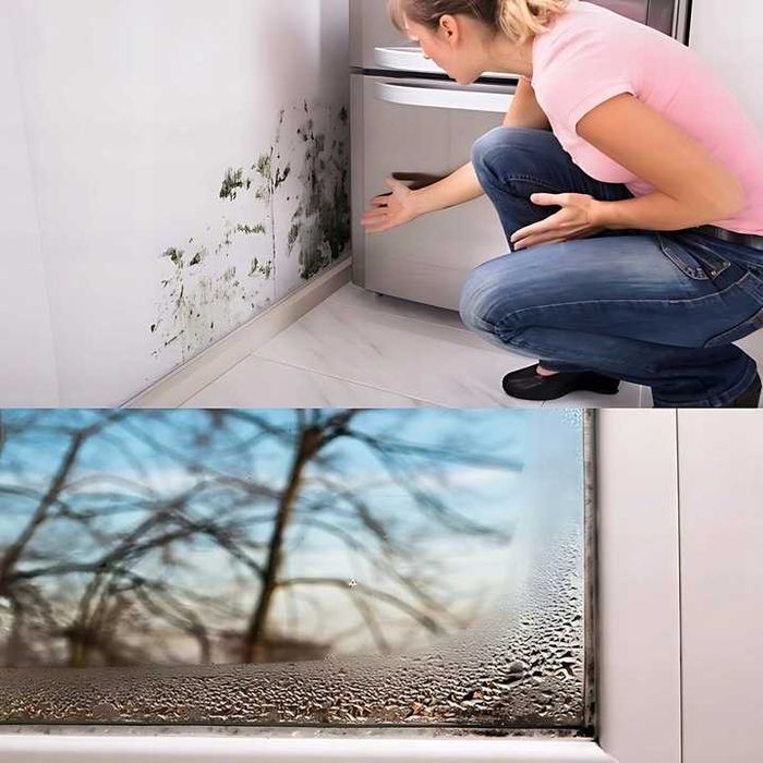 Осушувач повітря(Польша). Вологопоглинач . Осушувач кімнат побутовий.