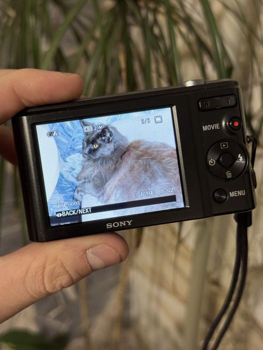 Цифровой фотоаппарат Sony DSC-W810