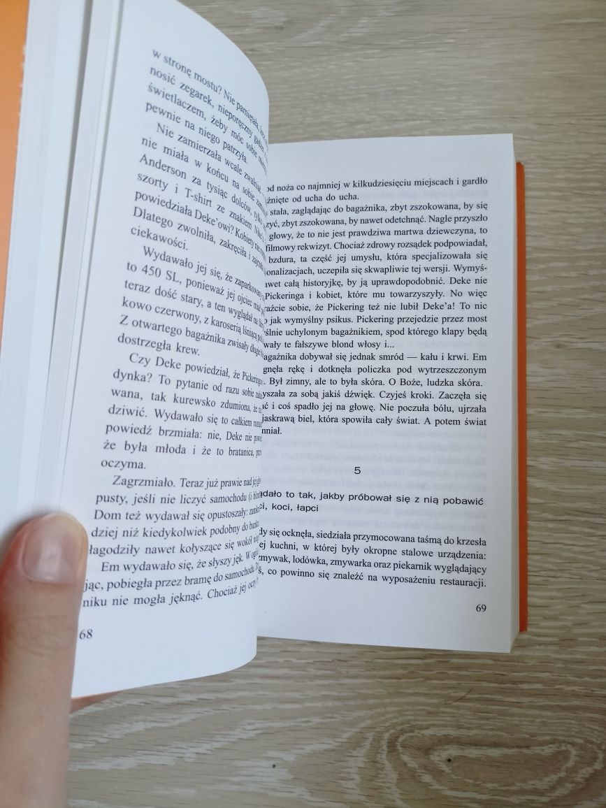 Stephen King "Po zachodzie słońca"