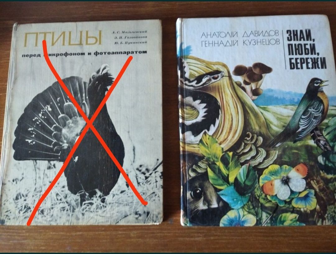 Книги-альбомы о природе
