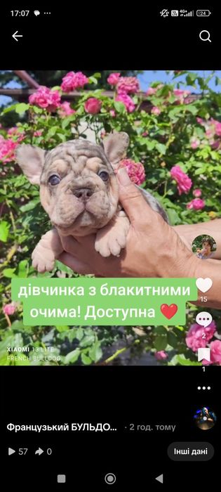 Дівчинка Біг Роп носій флаффі.