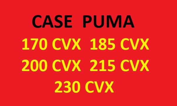 Instrukcja obsługi CASE PUMA 170_185_200_215_230 CVX J. POLSKI !!