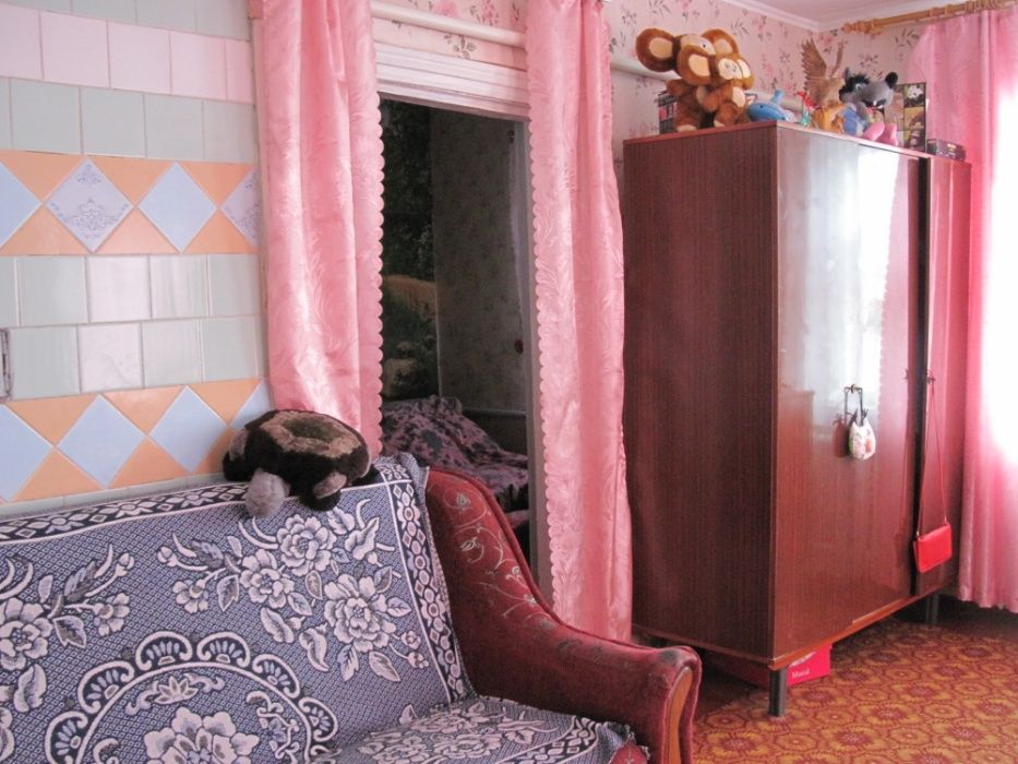 Будинок в мальовничому місті Батурин Бахмацького району Чернігівської