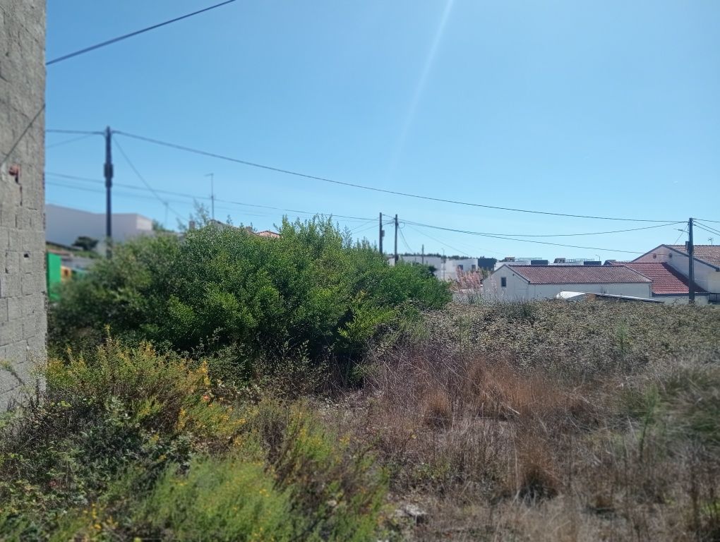 Limpezas de Terrenos