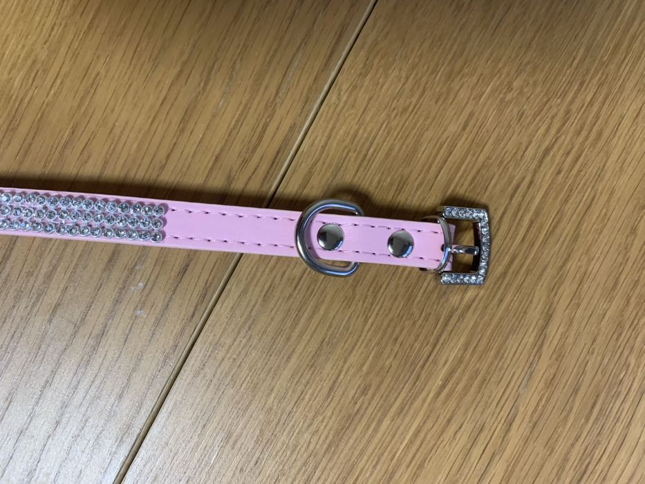 Coleira rosa com brilhantes para cao pequeno nova