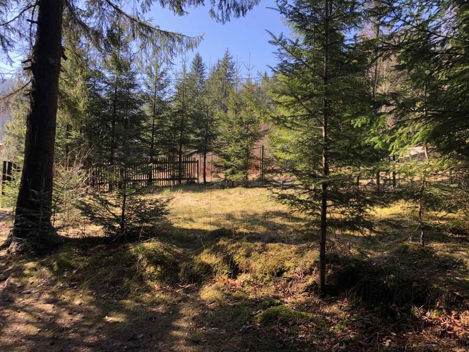 Котедж, будинок в Карпатах Татарів 2-6 осіб