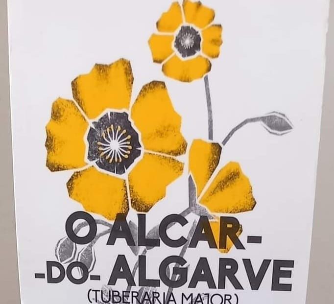 Proof Prata, 5€ Alcar do Algarve COLORIDA
