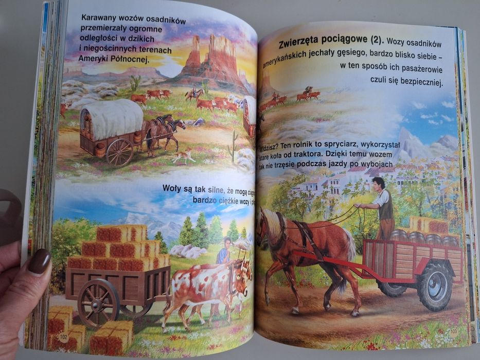 Książka Gospodarstwo I życie na wsi