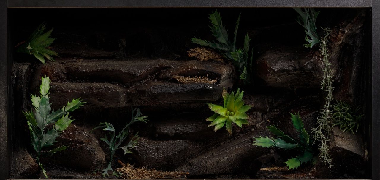 Terrarium 120x60x60 wyprzedaż