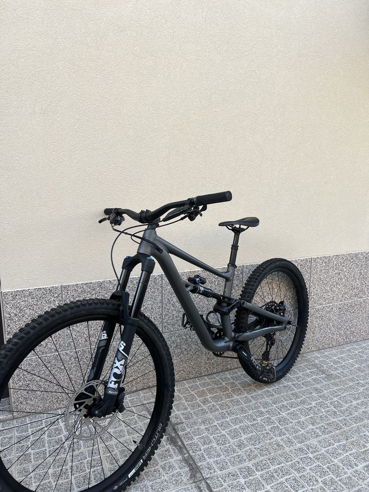 Specialized status 160