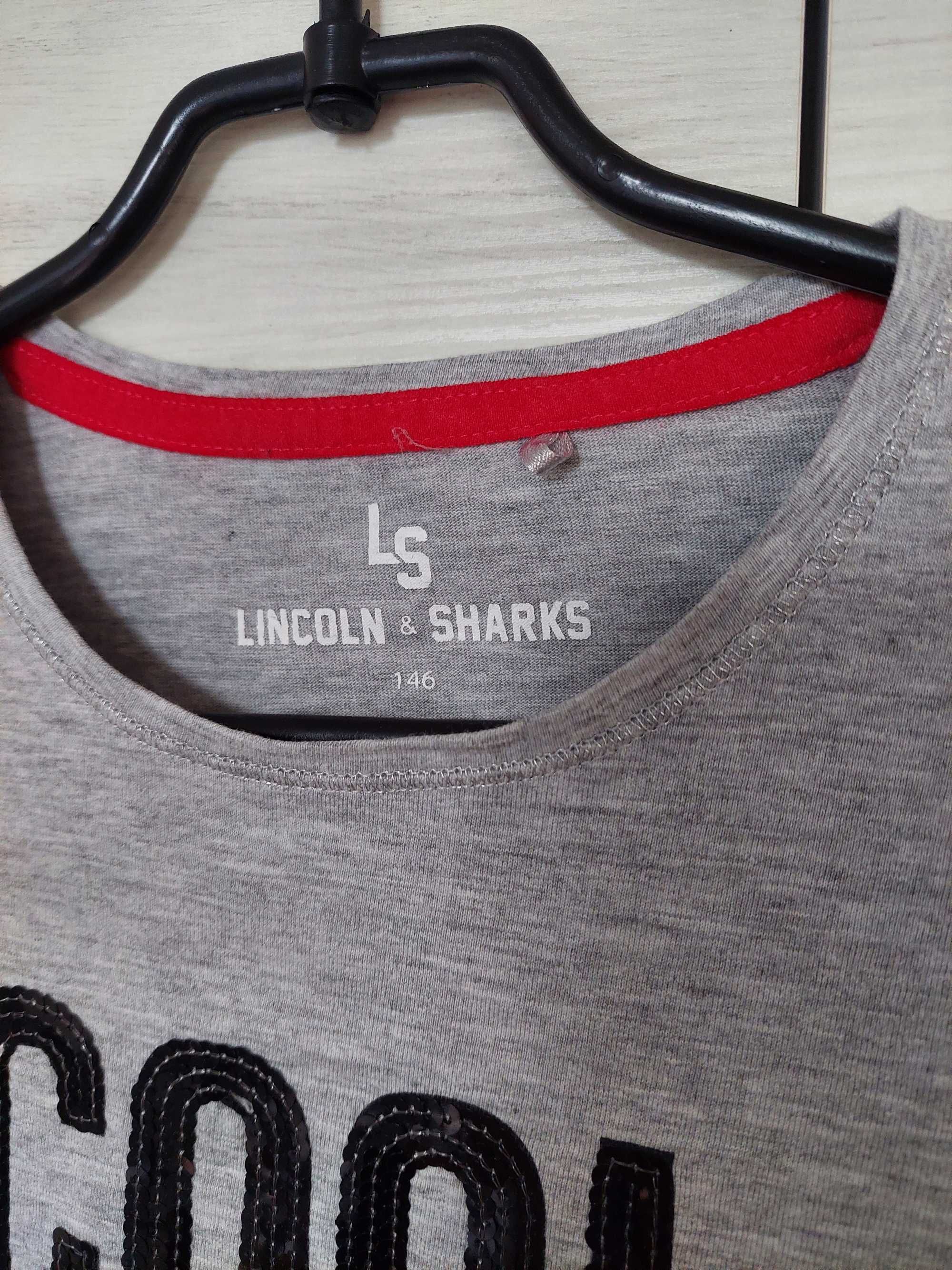 Szara koszulka z długim rękawem 146 Lincoln&Sharks bluzka