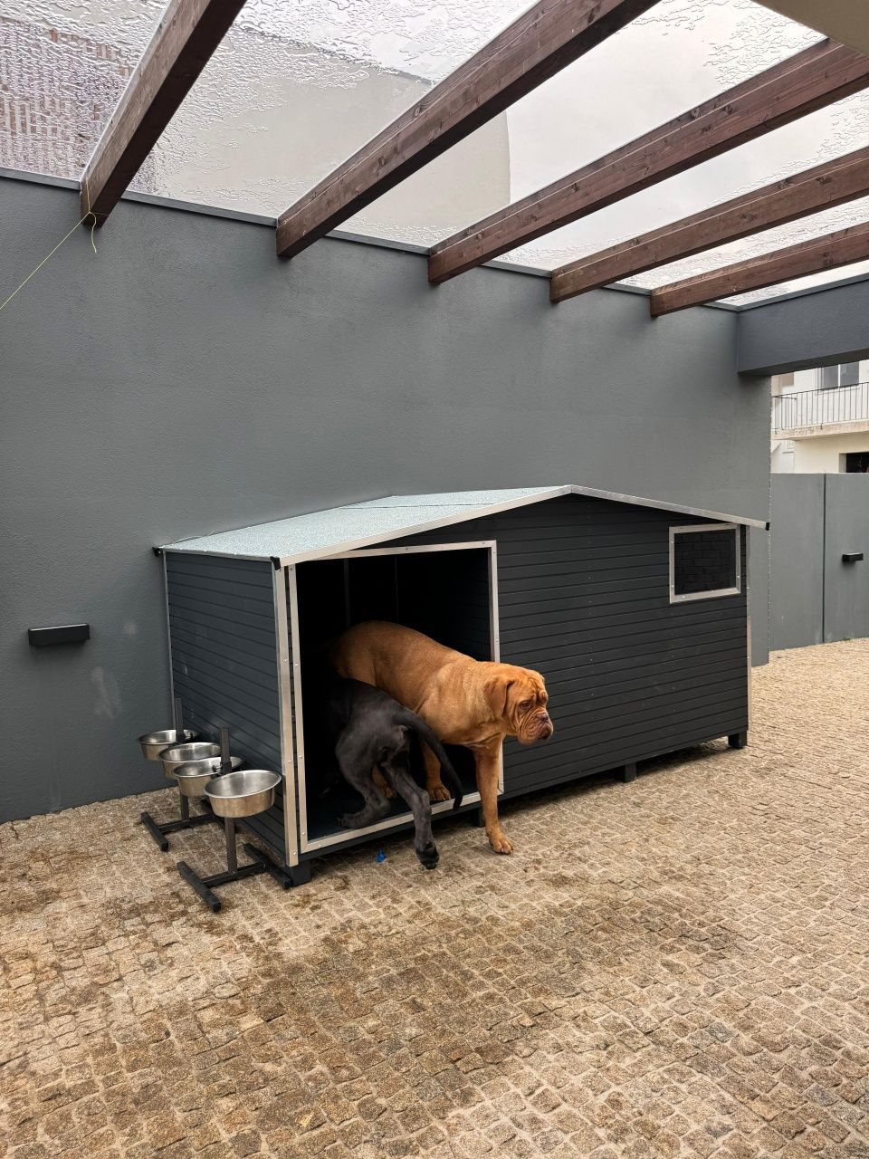 Casota cães porte grande