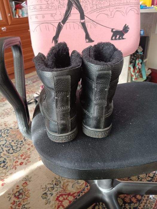 Черевики ботинки ессо зима Ecco сапоги