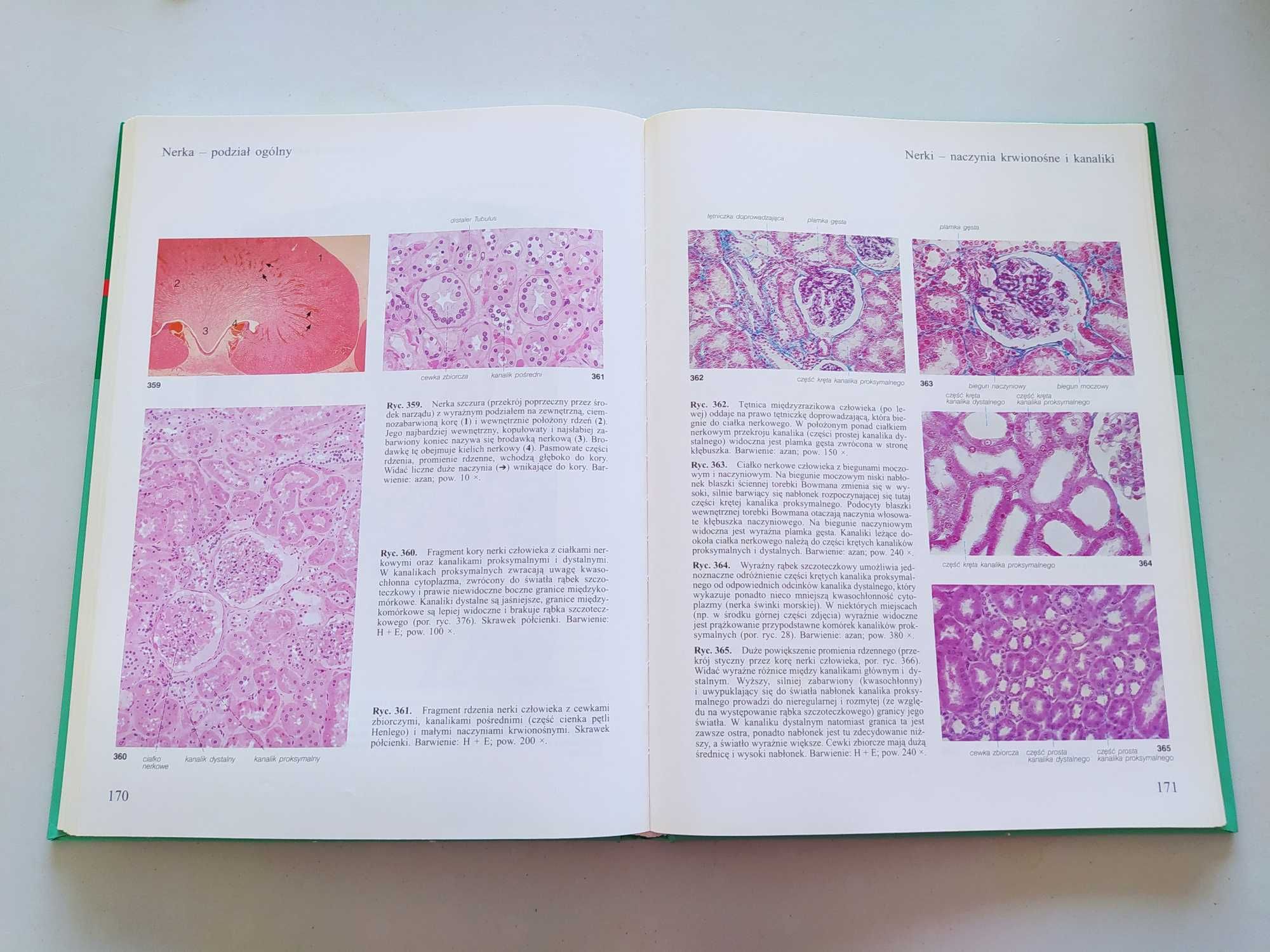 Atlas histologii, Sobotta, histologia, cytologia