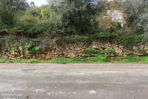 Terreno Para Construção, Coimbra, Assafarge